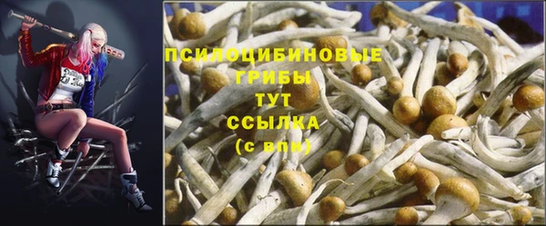 скорость Рославль