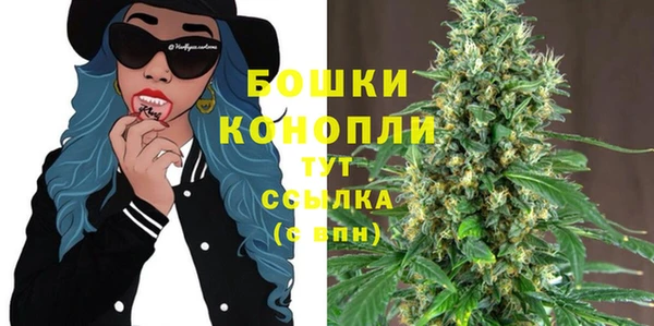 Альфа ПВП Протвино