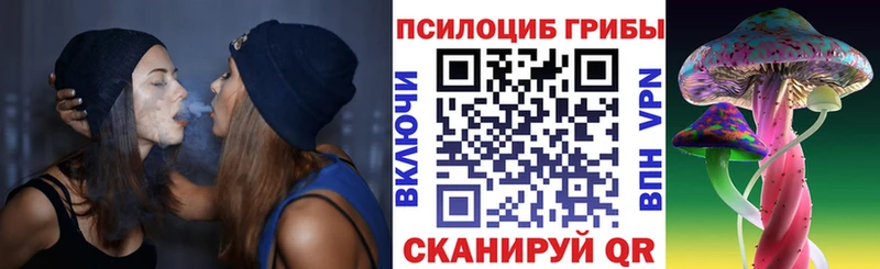 Галлюциногенные грибы Cubensis Тайга