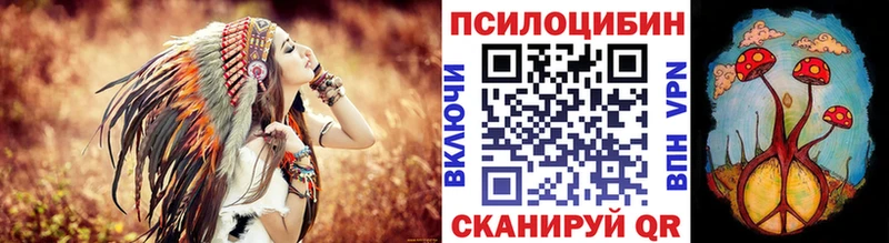 Купить  Тайга  Галлюциногенные грибы Psilocybine cubensis 